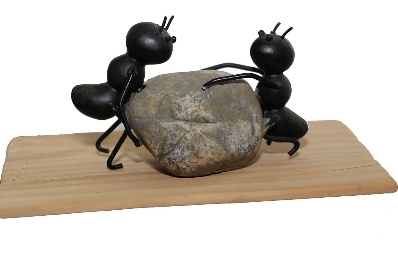 ants, strong, stone, power, nature, team, change, successful, idea, implementation, planning, teamwork, together, collaboration, strategy, ants, ants, ants, ants, ants, implementation, collaboration, collaboration
